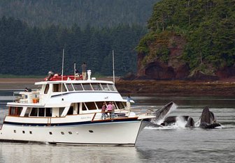 Alaskan Story Yacht Charter in Alaska