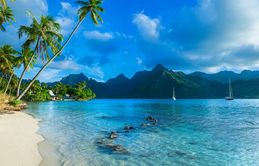 sailing yachts anchored down in French Polynesia