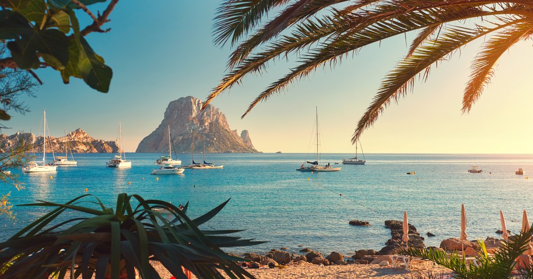 Ibiza yachts in the distance fringed by palm trees