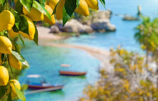 Lemon tree in Capri against a blue sky